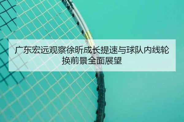 广东宏远观察徐昕成长提速与球队内线轮换前景全面展望